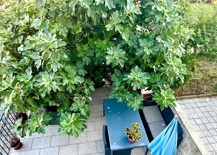 Privado Eixo Atlântico Quarto em Acomodações Particulares